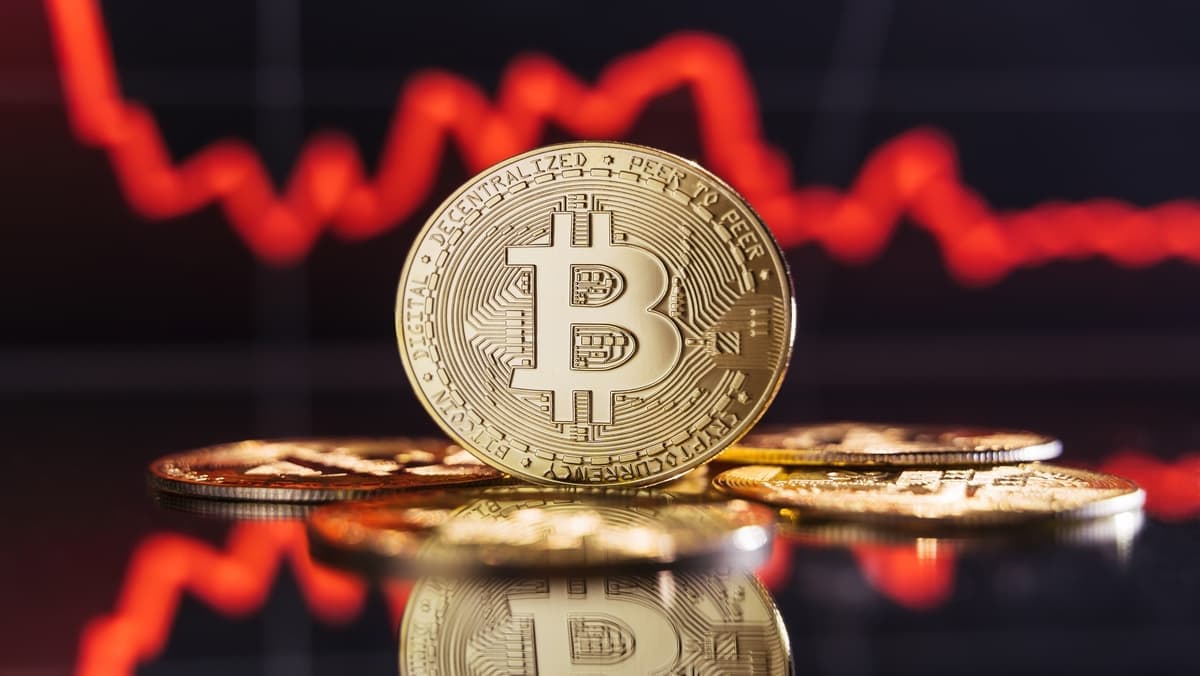 BTCUSA: Your Reliable Partner for Bitcoin and Blockchain Updates