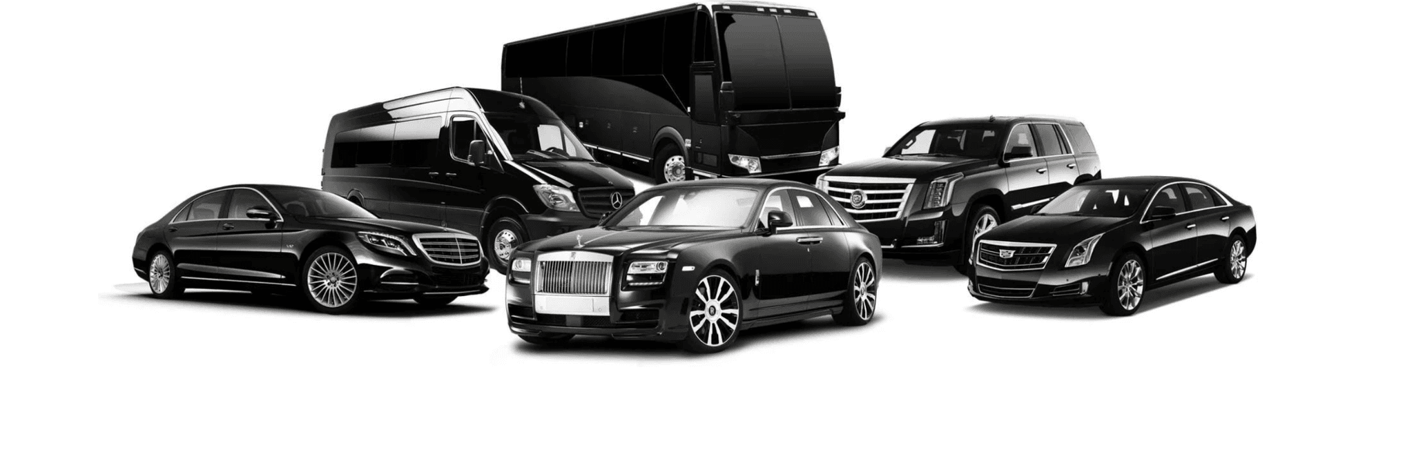 VIP Miami Limo – Your Premier Choice for Luxury Transportation