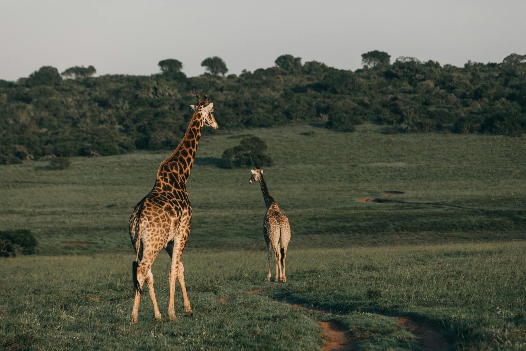 Tanzania Safari Itineraries: Big Five &amp; Spectacular Landscapes