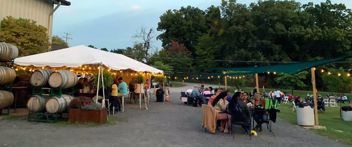 Unique Clarksburg Events That Capture the Spirit of Wine Country