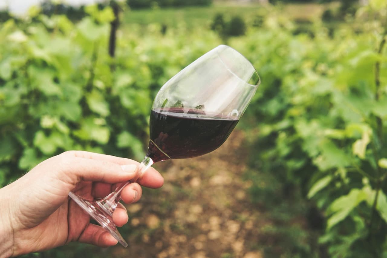 Discover Small-Town Charm at Wineries in Clarksburg