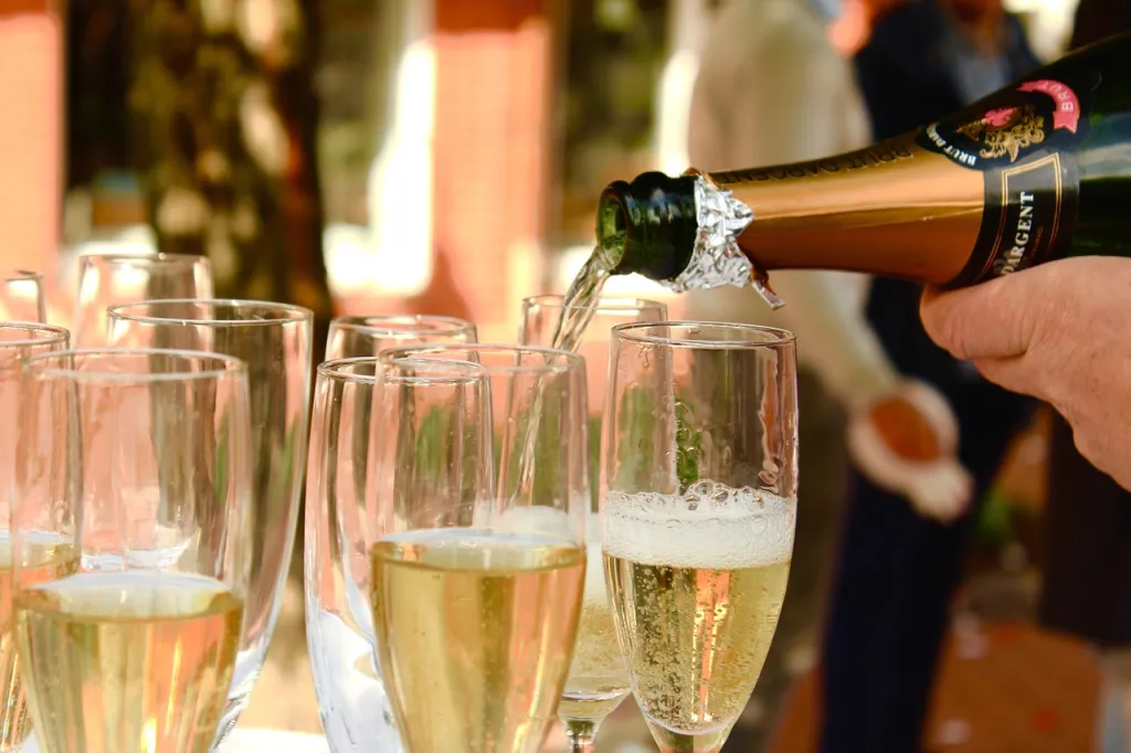 Clarksburg Wines and Perfect Food Pairings