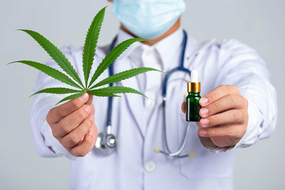 Cannabis club hamburg – Gemeinschaft statt Schwarzmarkt
