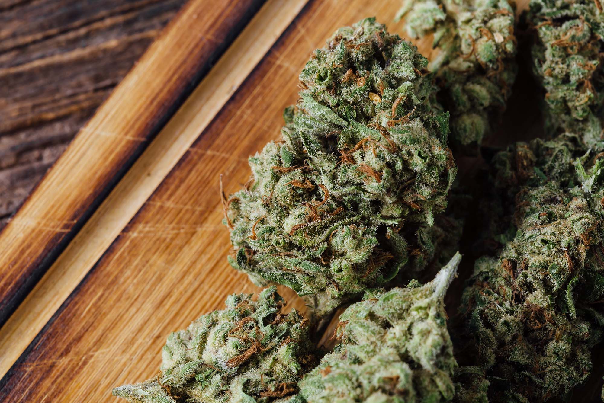 24 Hour Smoke Shop Near Me Miami – Miami Rave Has You Covered Anytime