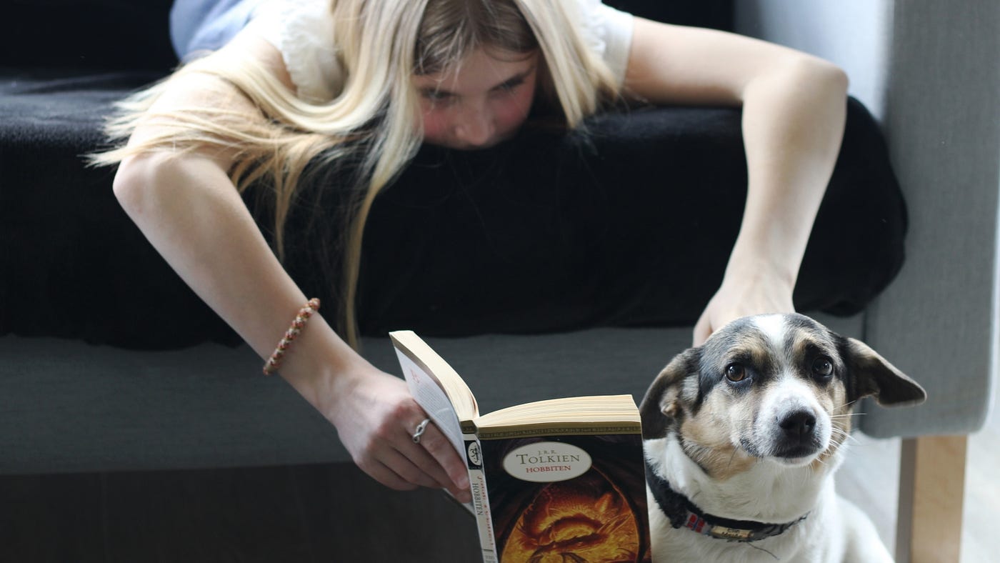 Fire Demon: A Captivating Start to a Fantasy Saga