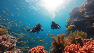 Experience diving with https://marvinscubaexpeditions.com amongst vibrant coral reefs and marine life.