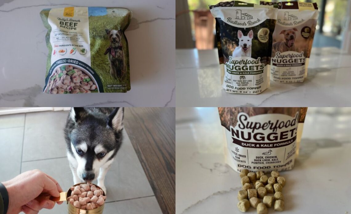 How Badlands Ranch Dog Food Promotes Immune Health Naturally