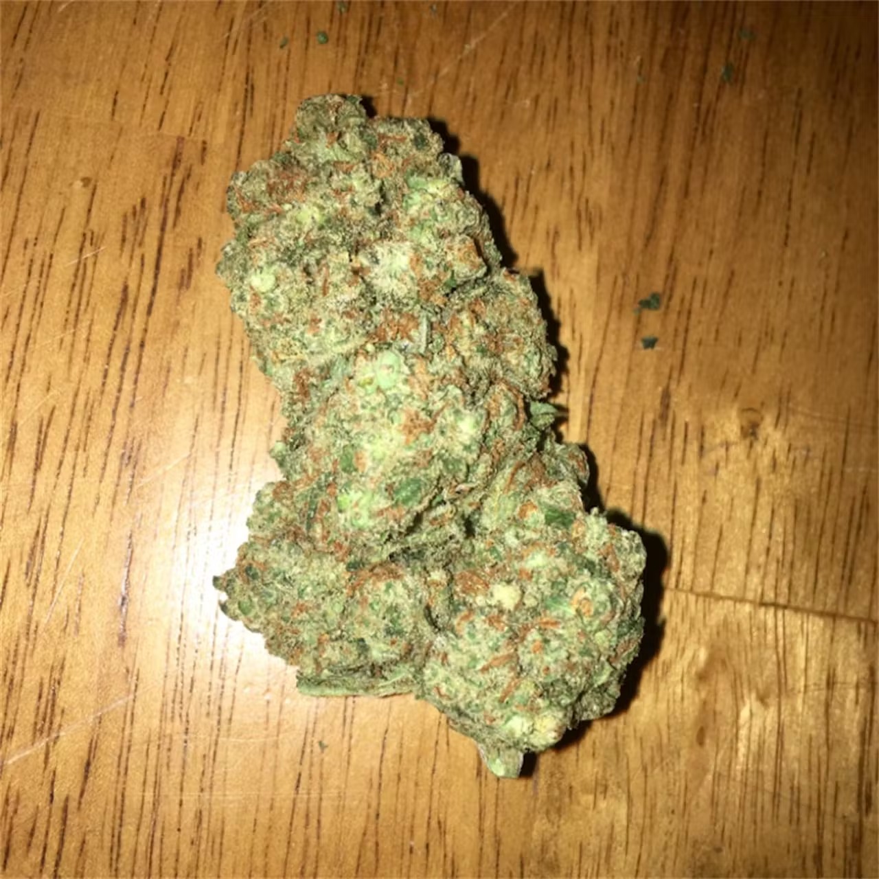 Cheap Canna at Bud Cargo – Premium Bud Without the Premium Price Tag