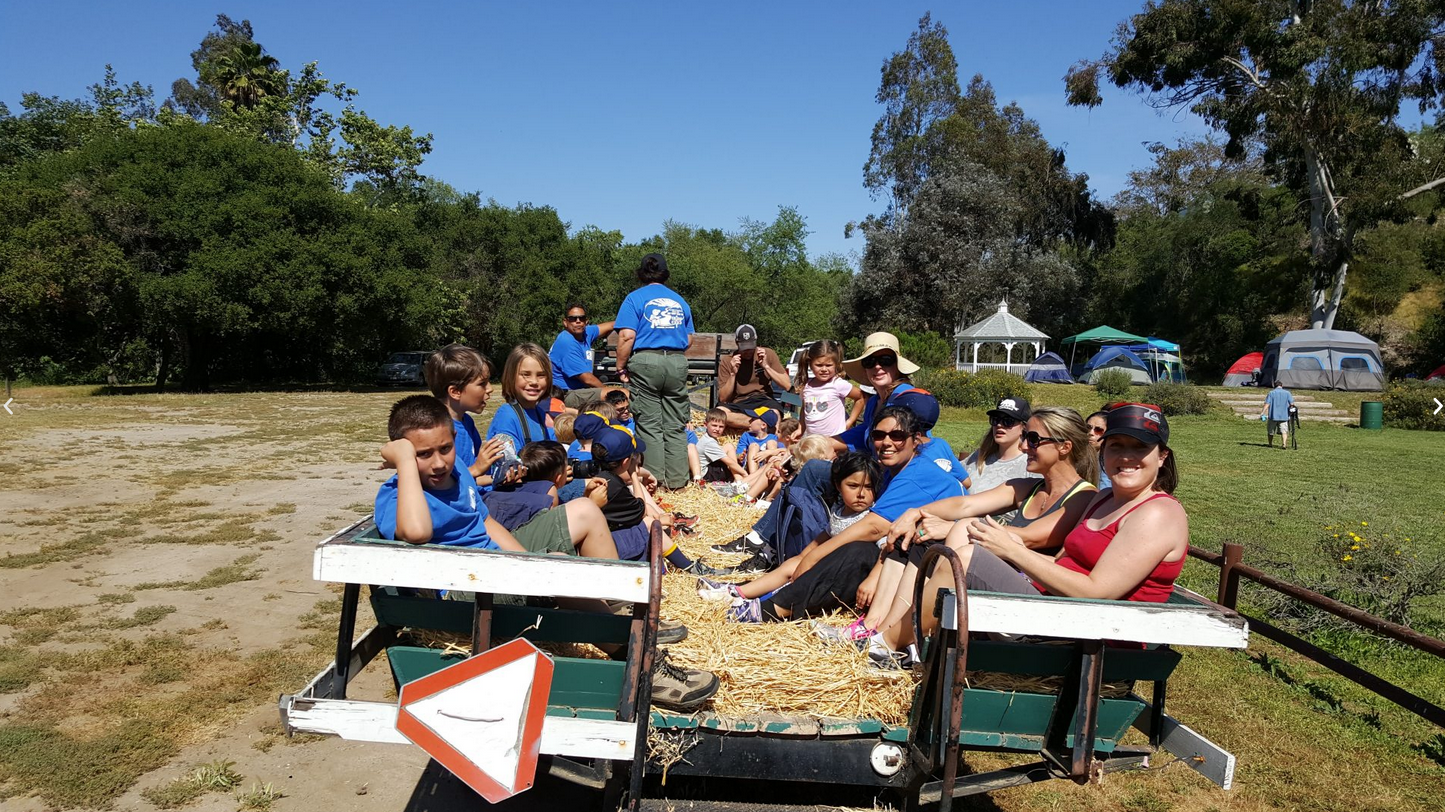 EXPERIENCE FAITH AND FUN AT A BIBLE CAMP FLORIDA STYLE