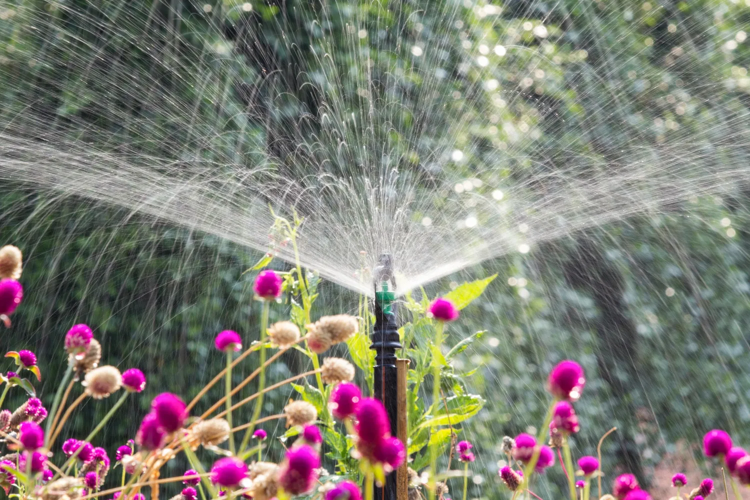 Professional Irrigation Services in Arlington, TX for High-Quality Results